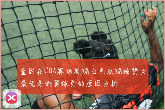 奎因在CBA赛场展现出色表现被赞为最优秀侧翼球员的原因分析