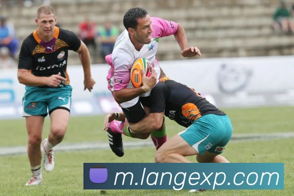 体育赛事直播